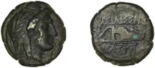 coin rev