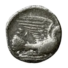 coin rev