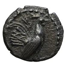 coin obv