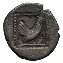 coin rev