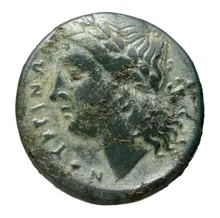 coin rev