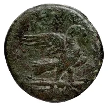 coin rev