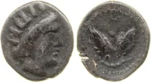 coin rev