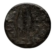 coin rev
