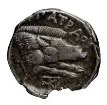Patraus rev