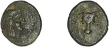 coin rev