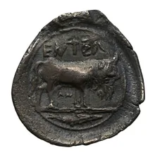 coin rev