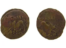 coin rev