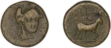 coin rev