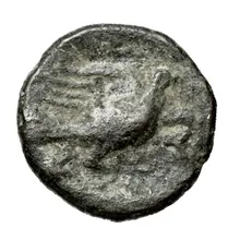 Phocian League rev