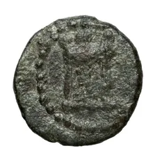coin rev