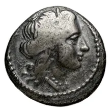 coin obv