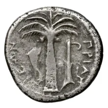 coin rev