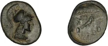 coin rev