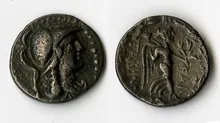 coin rev