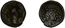 coin rev