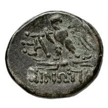 coin rev