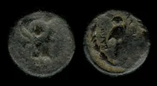 coin rev