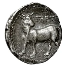coin rev