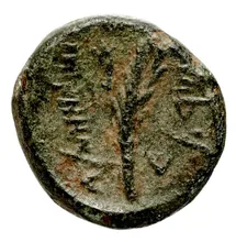 coin rev