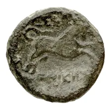 coin rev