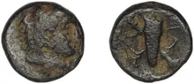 coin rev
