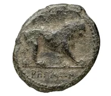 coin rev