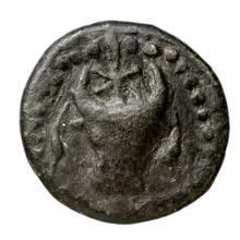 coin obv