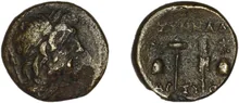 coin rev