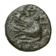 coin rev