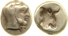 coin rev