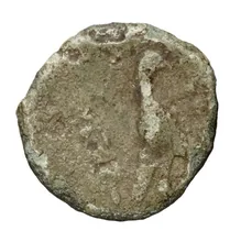 coin rev
