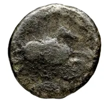 coin rev