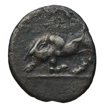 coin obv