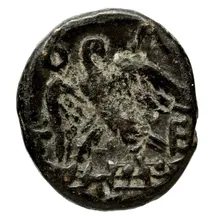 coin rev