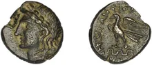 coin rev