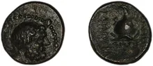 coin rev