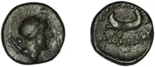 coin rev