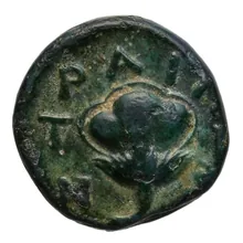 coin rev