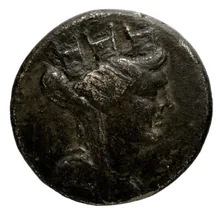 coin obv