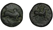 coin obv