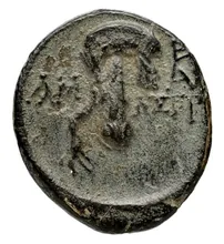 coin rev