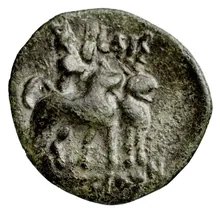 coin rev
