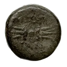 coin rev