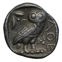 coin rev