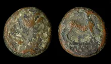 coin rev