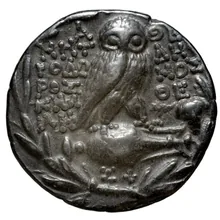 Theophi athens rev