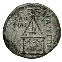 coin rev