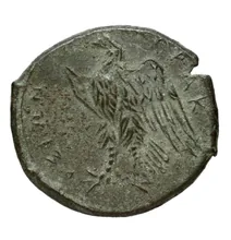 Hicetas rev