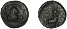 coin rev